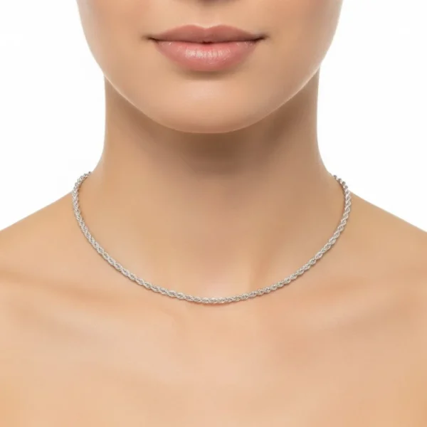 Gümüş Renk İnce Burgu Çelik Kolye